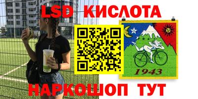 бошки Будённовск