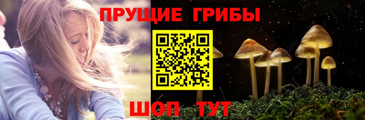 Псилоцибиновые грибы Cubensis  Вход с VPN  Пенза 