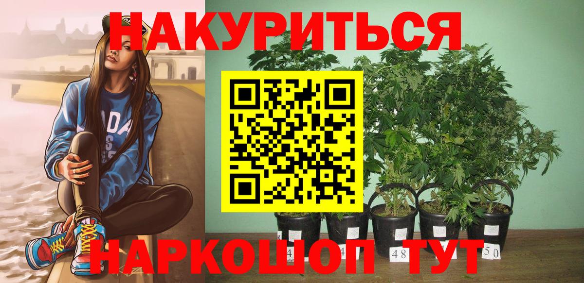 Бошки Шишки LSD WEED  Каннабис ГИДРОПОН  Вход с VPN  Пенза 